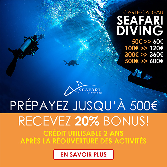 Cartes Cadeaux Seafari Diving